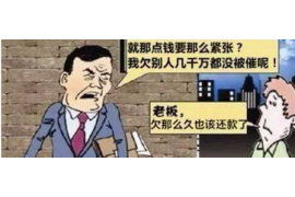 江苏企业清欠服务